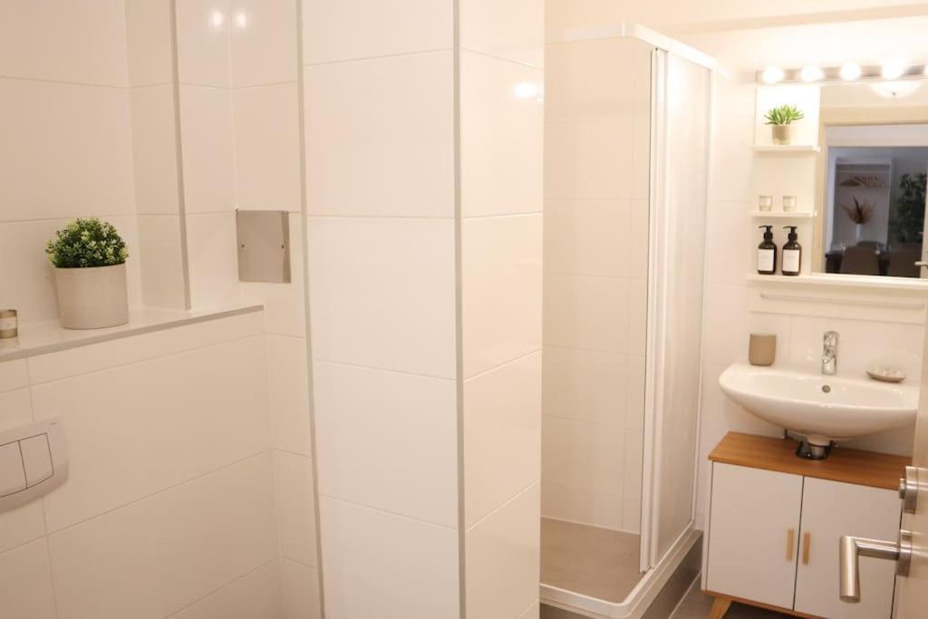 Charming, Modern & Spacious Apartment 비엔나 외부 사진